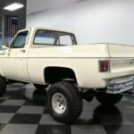 1980 Chevrolet C/K Truck