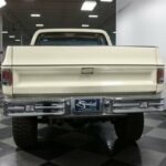 1980 Chevrolet C/K Truck