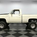 1980 Chevrolet C/K Truck