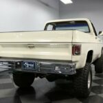 1980 Chevrolet C/K Truck