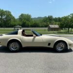 1981 Chevrolet Corvette Coupe