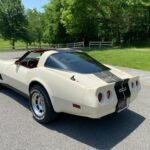 1981 Chevrolet Corvette Coupe