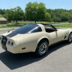 1981 Chevrolet Corvette Coupe