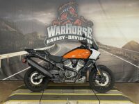 2021 Harley-Davidson Pan America Special